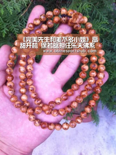 BBIN国际厅，BBIN入口，BBIN下载，BBIN百家乐