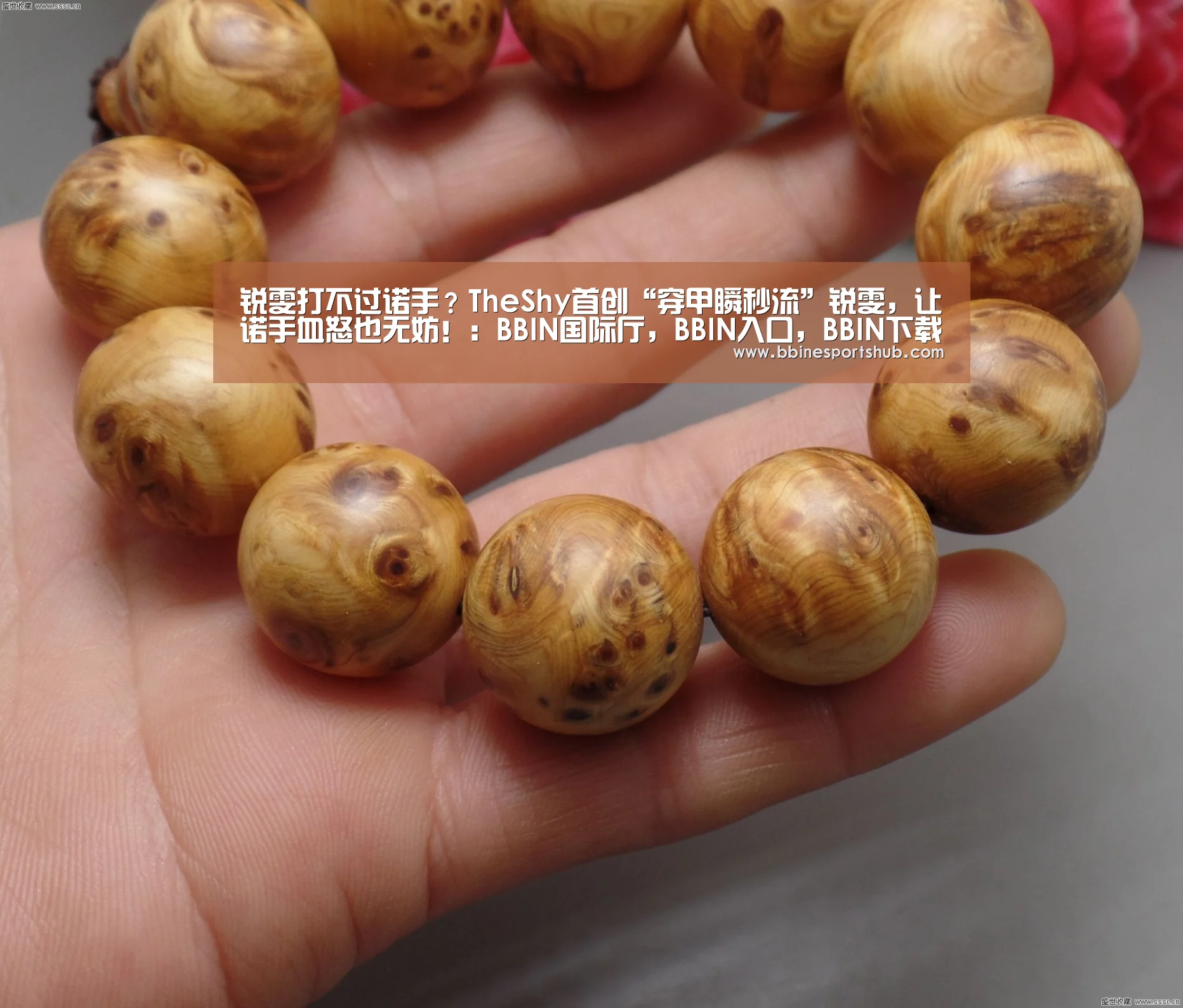 锐雯打不过诺手?TheShy首创“穿甲瞬秒流”锐雯,让诺手血怒也无妨!:BBIN国际厅,BBIN入口,BBIN下载,BBIN百家乐(图1) BBIN国际厅,BBIN入口,BBIN下载,BBIN百家乐